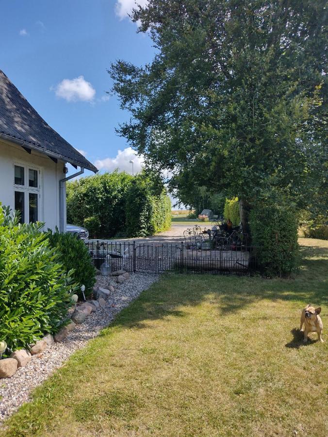 Den Gamle Apotekergaard Acomodação com café da manhã Hong Exterior foto
